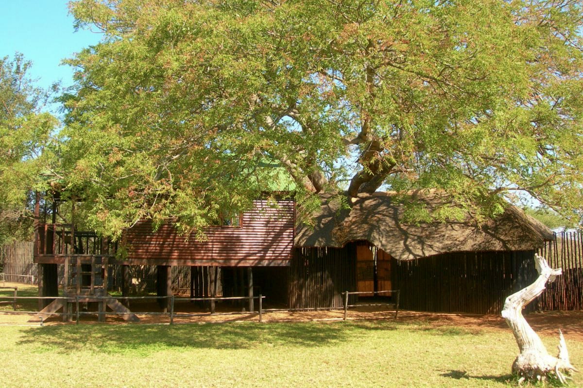Bush Cabin deck views at Zulani Safaris