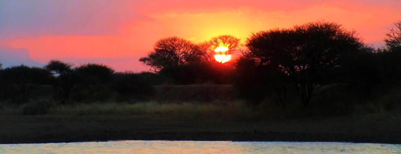 About Zulani Safaris