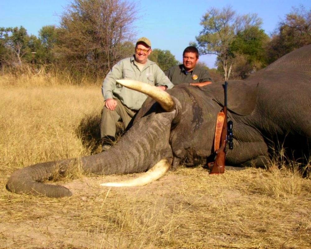 Elephant hunt in Africa