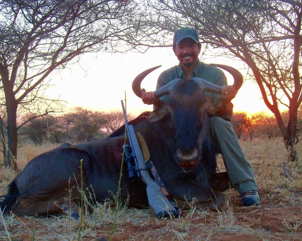 Blue Wildebeest hunting in South Africa