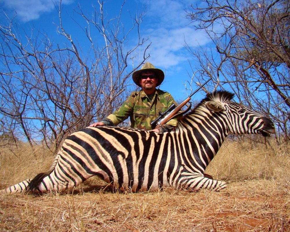 Zebra hunting in South Africa
