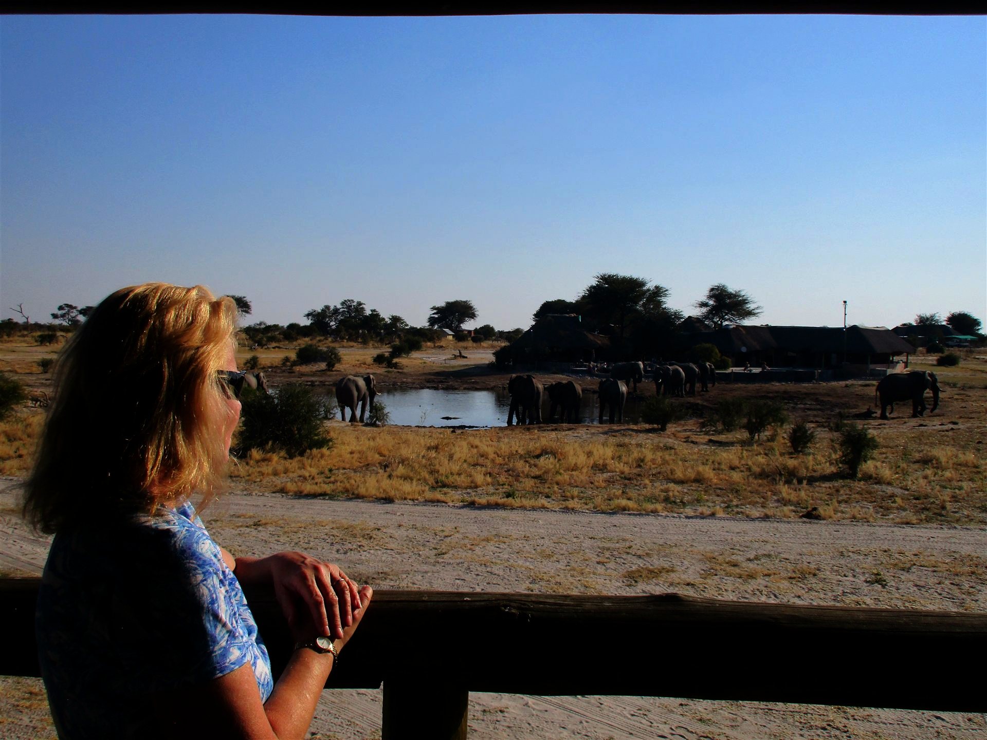 Elephant Camp, Botswana