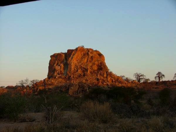 Mapungubwe National Park safari