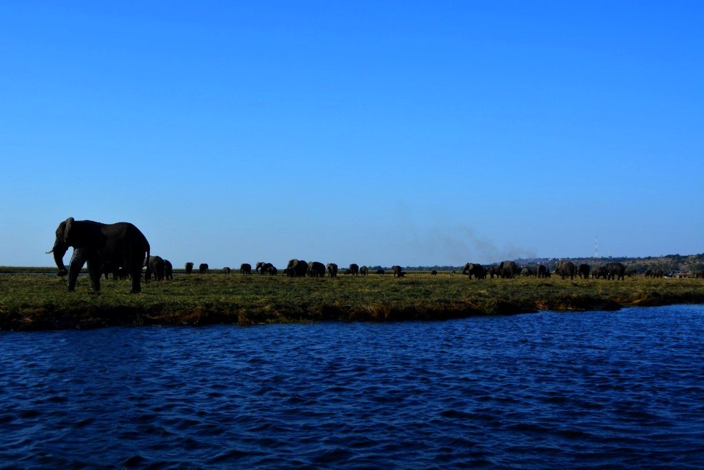 Okavango Delta tented camp